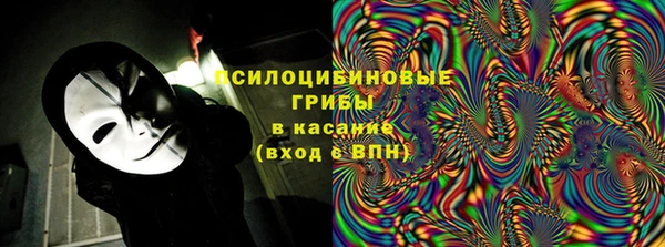 молекула духа Алексеевка