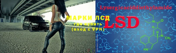 гашик Аркадак